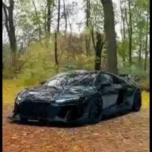 r08